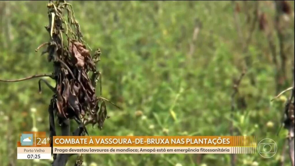 Imagem do artigo