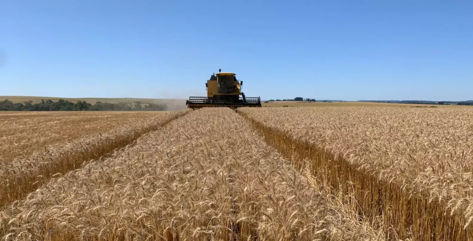 A Inadimplência Crescente no Agronegócio: Impactos e Perspectivas para 2026