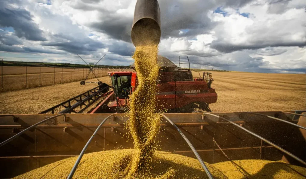 Agronegócio: De Recordes em 2025 a Estagnação em 2026; Entenda os Fatores