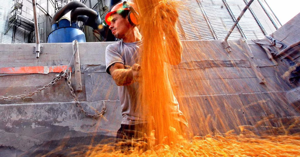 Agronegócio: Do Recorde em 2025 à Estagnação em 2026 - O Que Esperar?