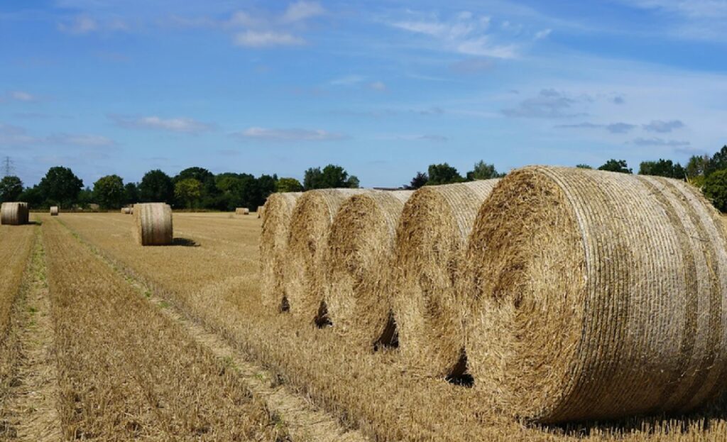 Brasil Expande Acesso do Agronegócio a Novos Mercados Internacionais Brasil Expande Acesso do Agronegócio a Novos Mercados Internacionais