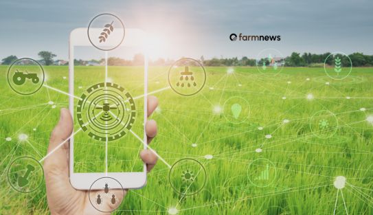 Estruturar Dados: A Chave para Sucesso da IA no Agronegócio Estruturar Dados: A Chave para Sucesso da IA no Agronegócio