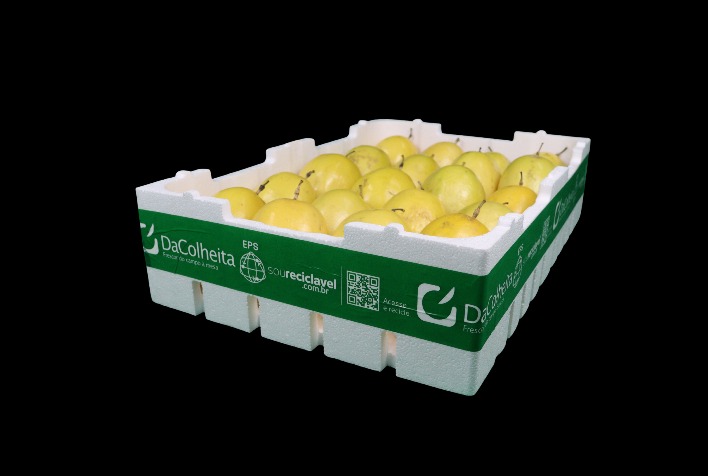 Santa Catarina Inaugura Colheita do Maracujá com Foco em Embalagens Inovadoras Imagem do artigo