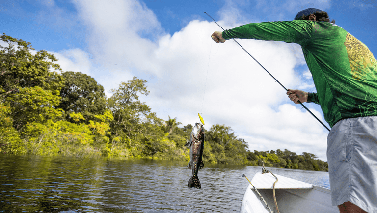 Pesca Esportiva: Um Impulso para o Turismo Sustentável no Brasil