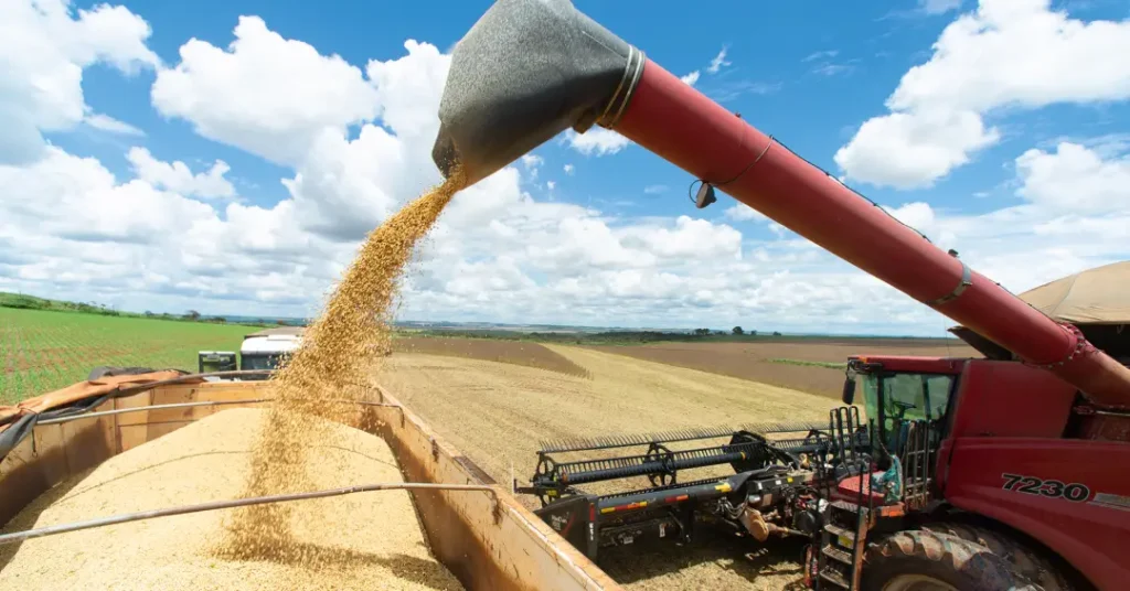 Previsões do Agronegócio: Desafios para o Setor e o Governo Lula em 2026