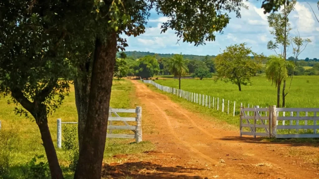 Recuperação Judicial e Crédito no Agronegócio: Desafios e Oportunidades