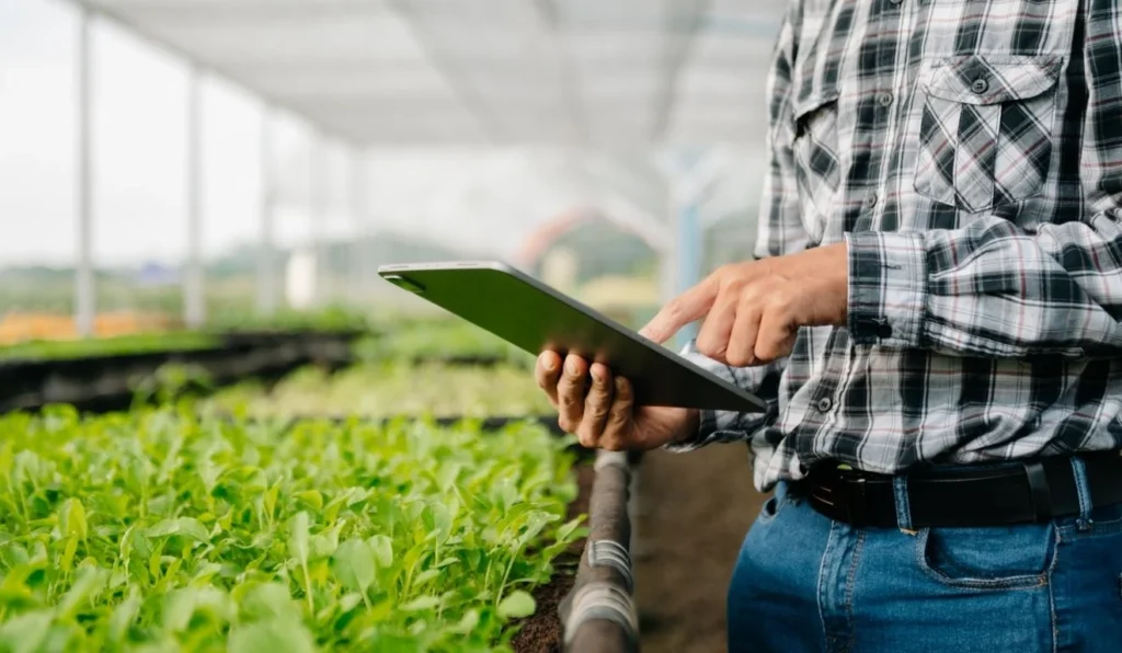 Recuperação Judicial no Agronegócio: Desafios e Oportunidades para Produtores e Cooperativas Recuperação Judicial no Agronegócio: Desafios e Oportunidades para Produtores e Cooperativas
