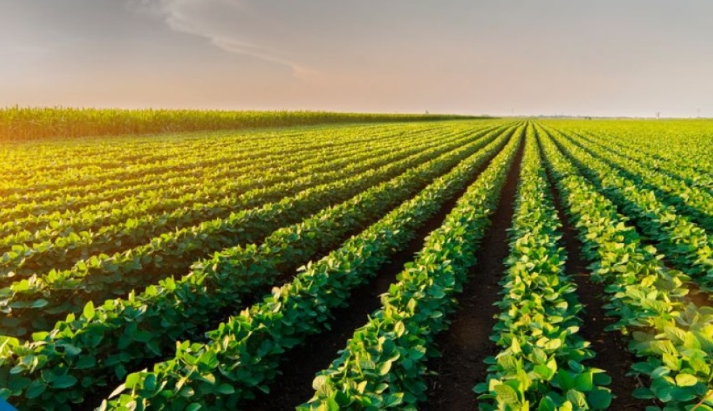 Verão 2025/26: Expectativas Positivas para o Agronegócio no Brasil