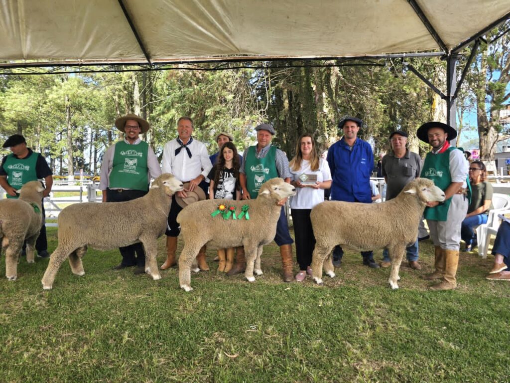42ª Feovelha: Um Marco para o Agronegócio e Entretenimento no Sul do Brasil