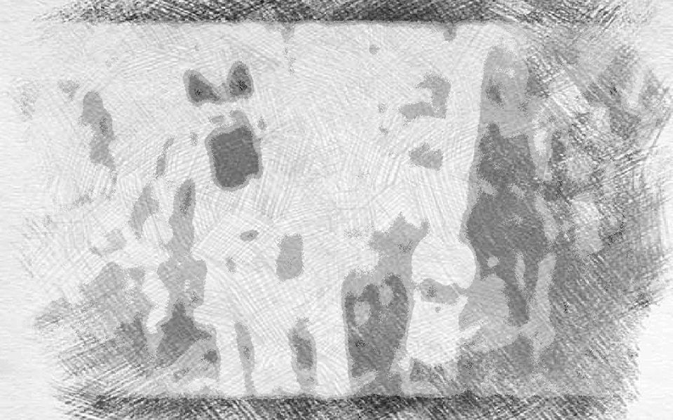 Açaí Bot: Robôs Transformam a Colheita do Açaí no Amapá