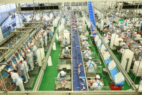 Acordo Mercosul-UE: Ganhos significativos para o agronegócio brasileiro