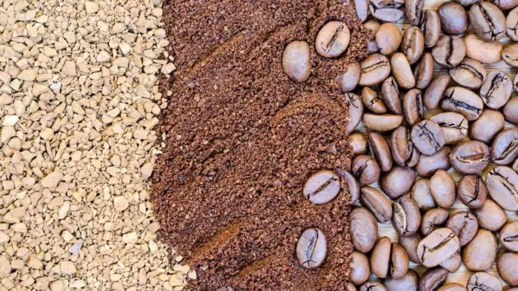 Acordo Mercosul-União Europeia: Impulsos ao Agronegócio Brasileiro em 2024