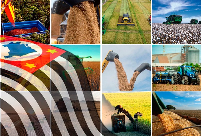 Agro Paulista Termina 2025 com Superávit de US$ 23 Bilhões e Expande Mercado Internacional