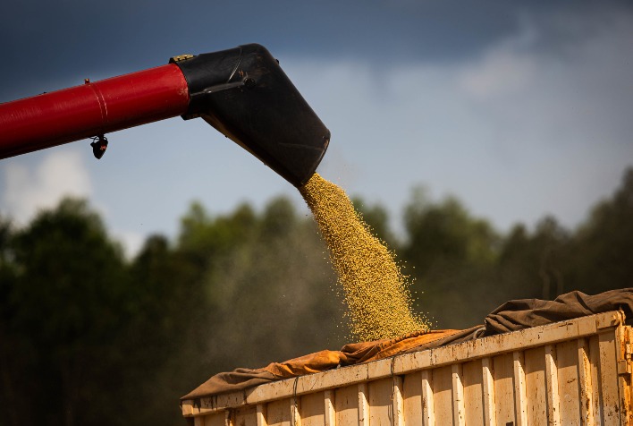 AgRural Eleva Projeções: Safra Recorde de Soja e Milho no Brasil em 2025/26 AgRural Eleva Projeções: Safra Recorde de Soja e Milho no Brasil em 2025/26
