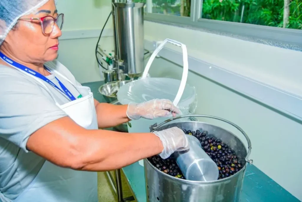 Amapá é Destaque em Patentes Relacionadas ao PIB na Região Norte