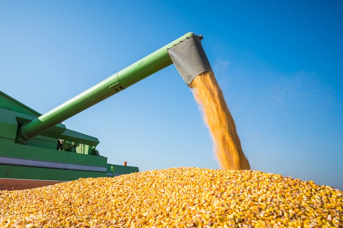 Brasil Expande Agronegócio: 525 Novos Mercados com Potencial Bilionário