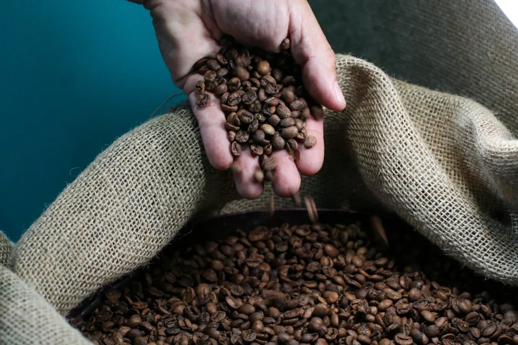 Café se Mantém como Principal Produto nas Exportações do Agronegócio Capixaba em 2025