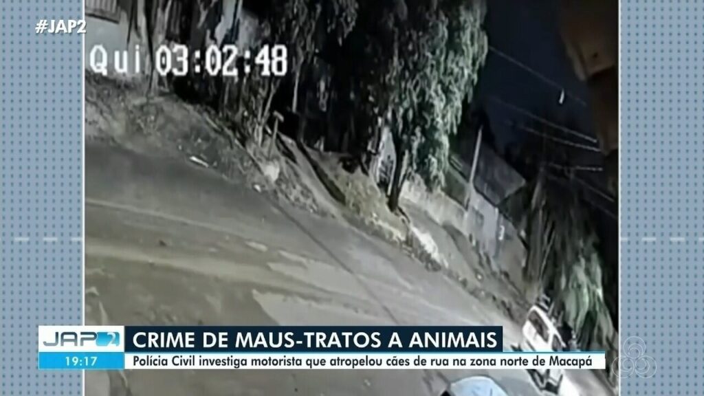 Denuncie Maus-Tratos a Animais em Macapá: Canal Disponível 24 Horas