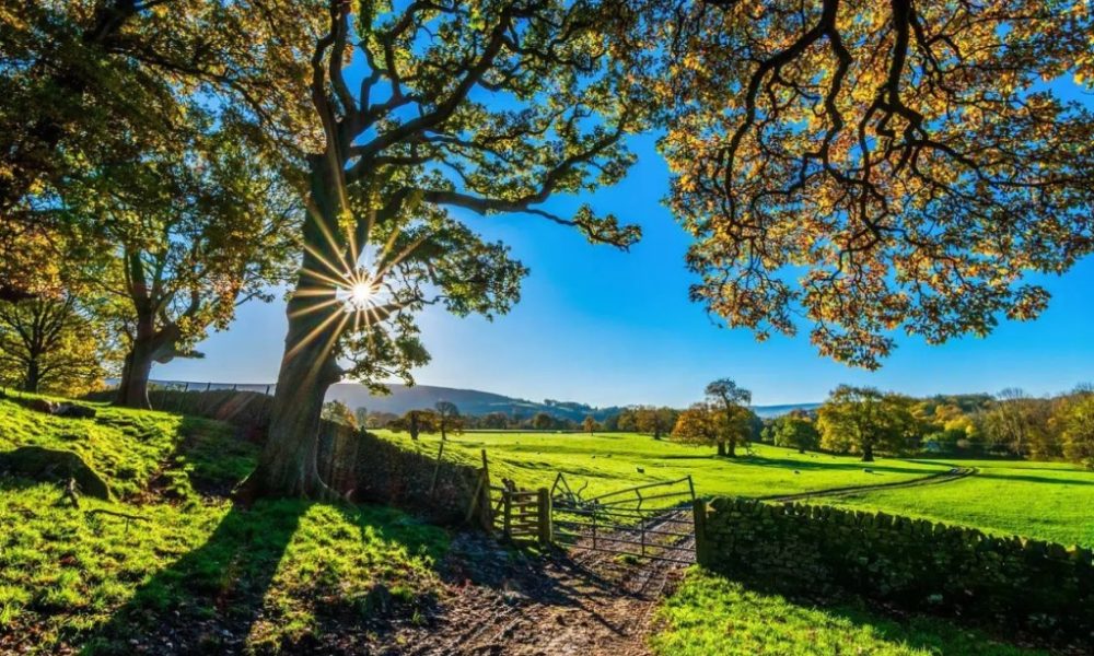 Desafios Ambientais para o Agronegócio em 2026: O Que Esperar?