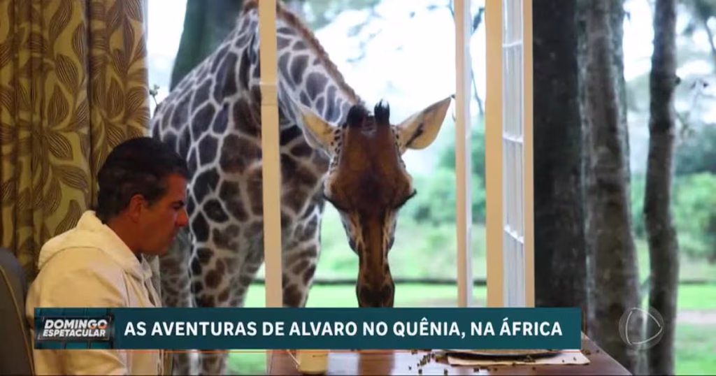 Descubra o Quênia: Onde Luxo e Conservação se Encontram com as Girafas