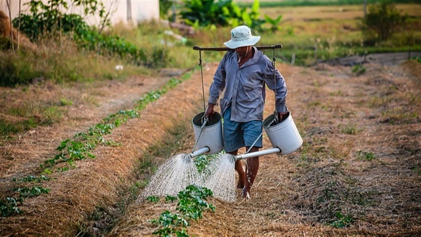 Desvendando os Desafios do Produtor Rural no Fortalecido Agronegócio Brasileiro