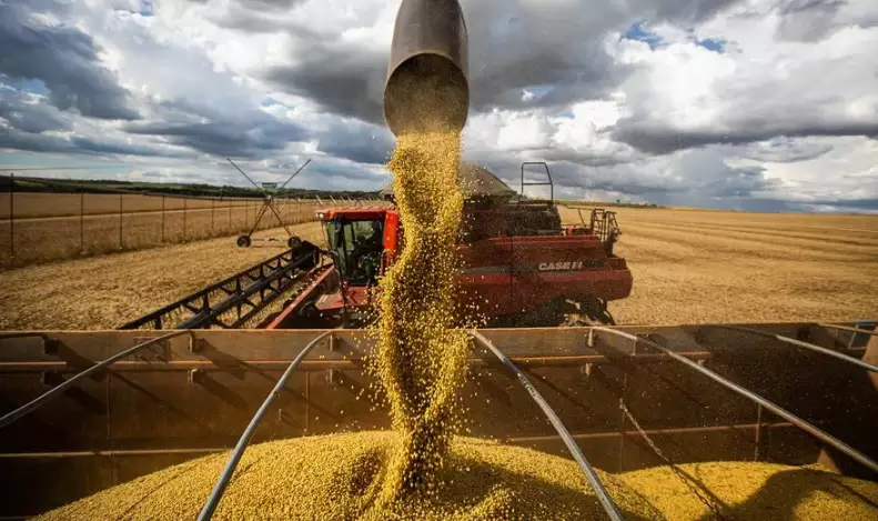 Exportações do Agronegócio Brasileiro Batem Recorde de US$ 169 Bilhões em 2025