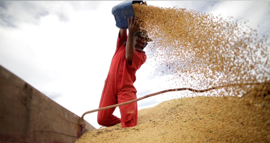 Exportações do Agronegócio Brasileiro Registram Crescimento de 3% em 2025