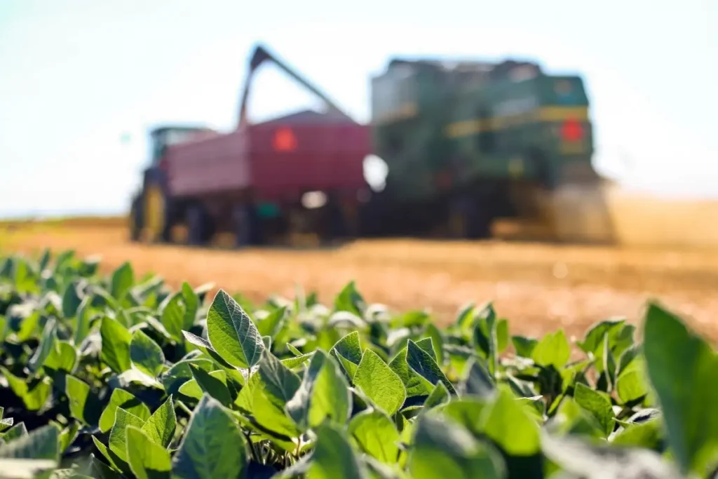 Impactos da Sanção de Trump no Agronegócio Brasileiro: Alerta para o Setor