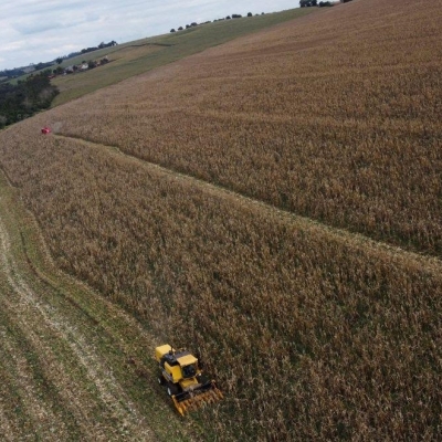 Inadimplência no Agronegócio Atinge 8,3% no 3T25; Geração dos 30 é a Mais Afetada