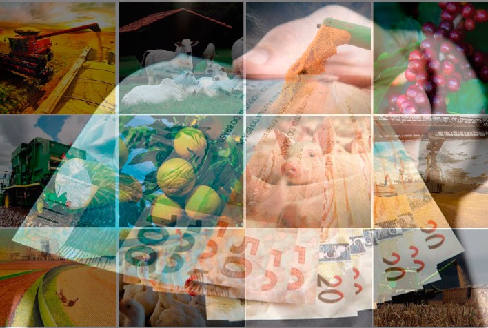 Inadimplência Rural Cresce para 8,3% no 3º Trimestre de 2025, Revela Serasa Experian