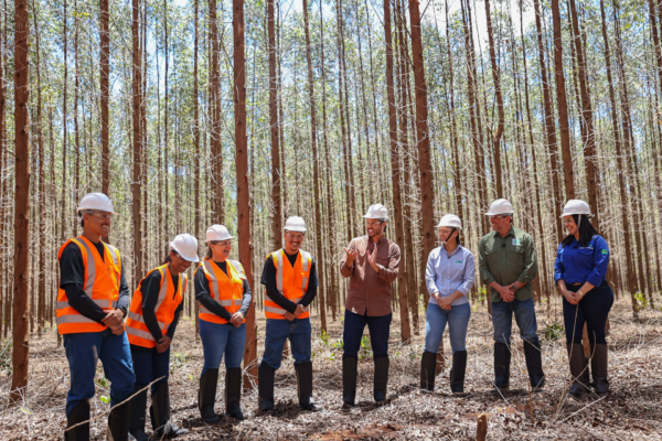 Mestres do Agro: O Primeiro Reality Show do Agronegócio Brasileiro Estreia Hoje no YouTube