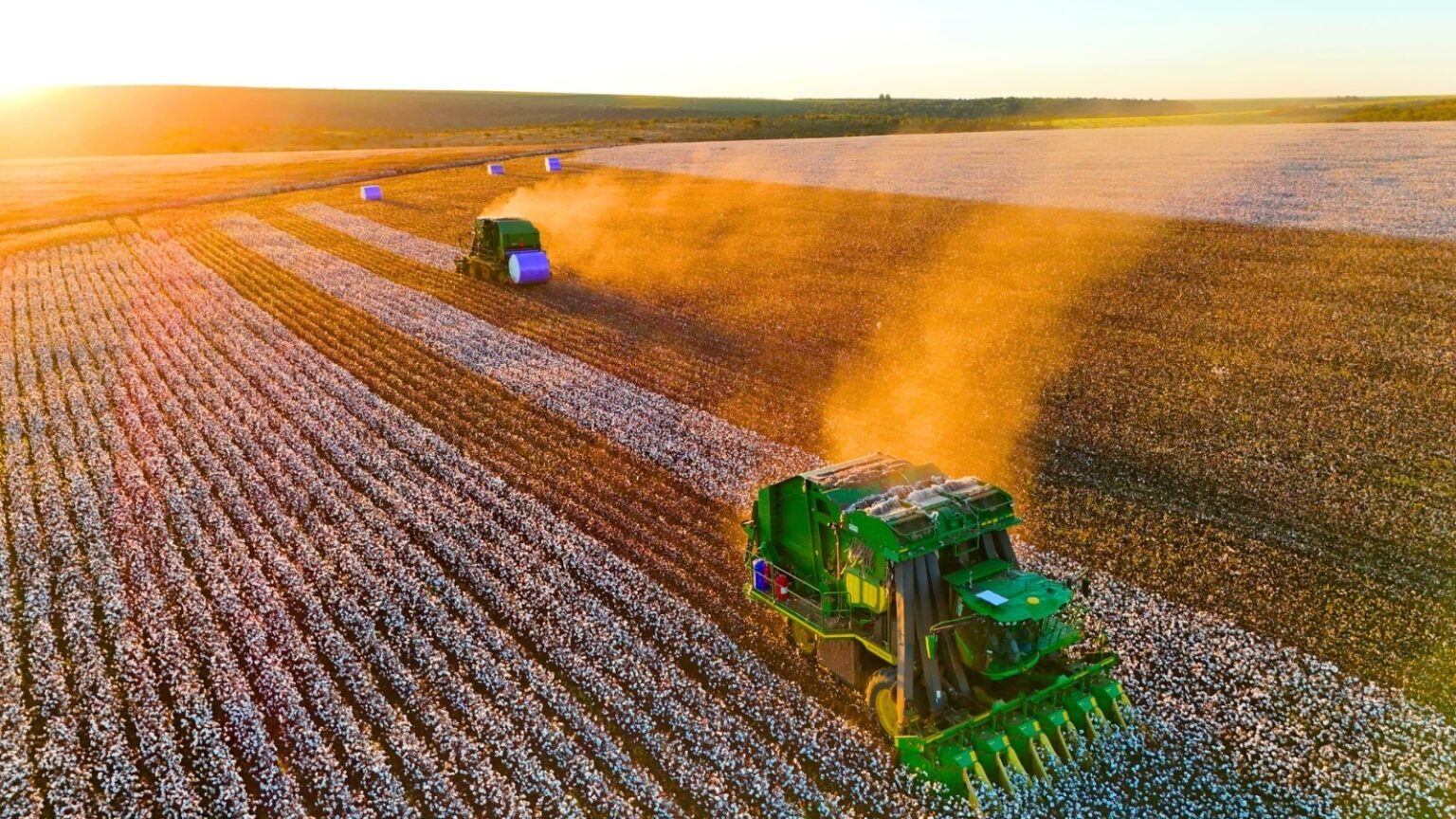 Natter Anuncia 27 Vagas de Emprego em Mato Grosso: Oportunidades no Agronegócio Natter Anuncia 27 Vagas de Emprego em Mato Grosso: Oportunidades no Agronegócio