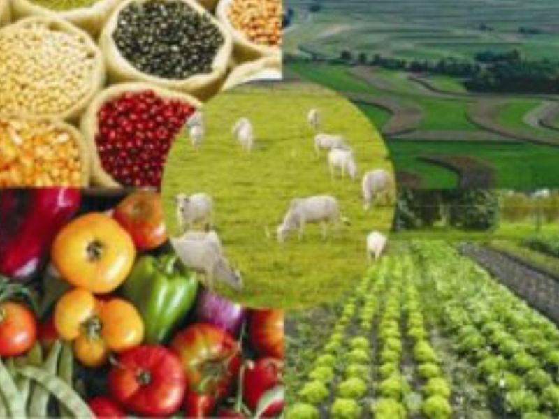 Operação dos EUA na Venezuela: Impactos Indiretos no Agronegócio Brasileiro