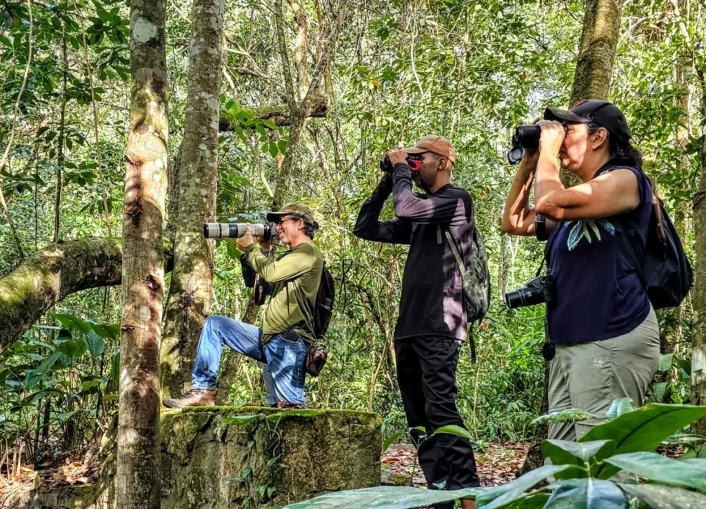 Pernambuco Avança no Turismo de Observação de Aves com Novo Edital | Sustentabilidade em Foco