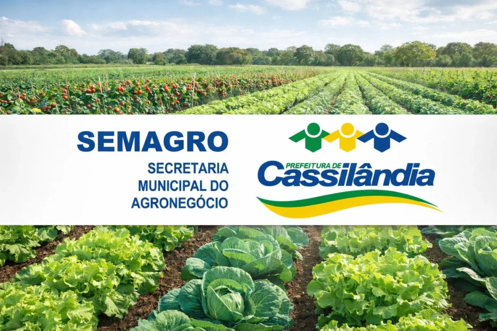 Pesquisa Revela Oportunidades no Mercado Hortifruti de Cassilândia Pesquisa Revela Oportunidades no Mercado Hortifruti de Cassilândia