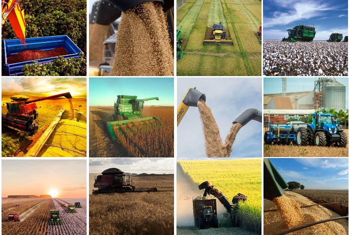 Produtividade do Agronegócio Brasileiro Pode Crescer 20% com Ajustes Operacionais, Asegura Especiali