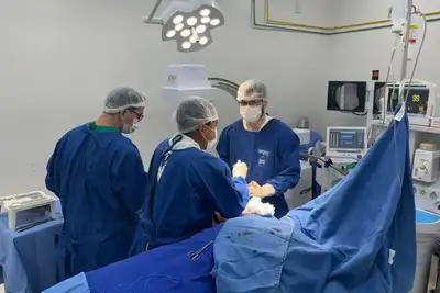 Programa Zera Fila no Amapá: Mais de 10,3 mil Cirurgias Realizadas em Janeiro de 2026