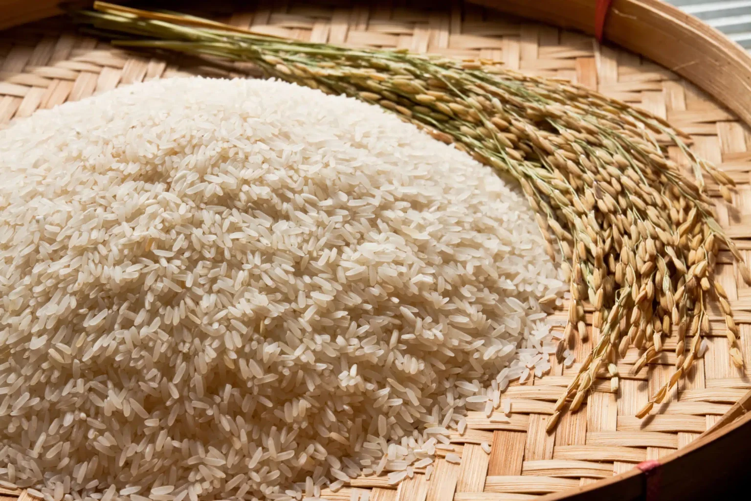 Queda na Produção de Arroz: Brasil e Mundo Enfrentam Recuo Após Nove Anos de Crescimento