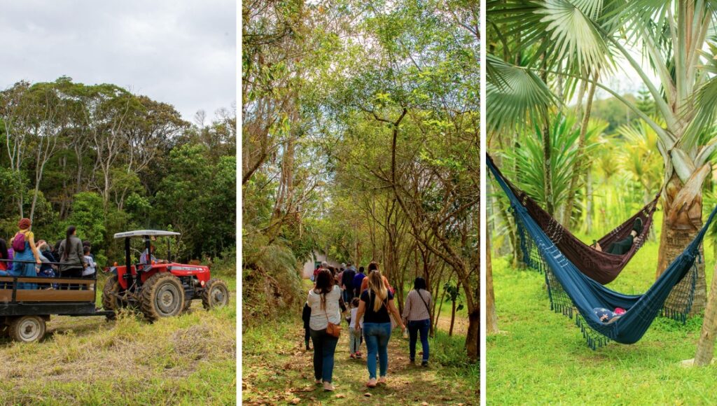 SP Produz: Iniciativa Une Sustentabilidade e Cultura em São Paulo