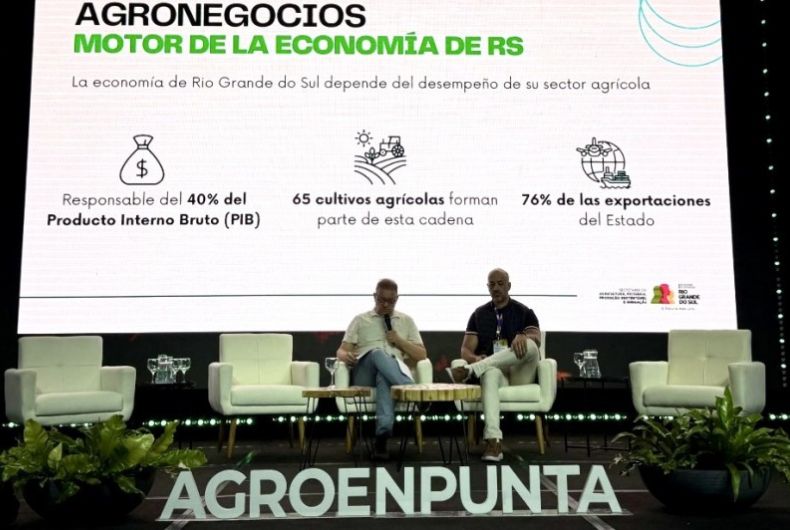 Agronegócio Gaúcho se Destaca na Economia do Estado: Um Panorama Atual