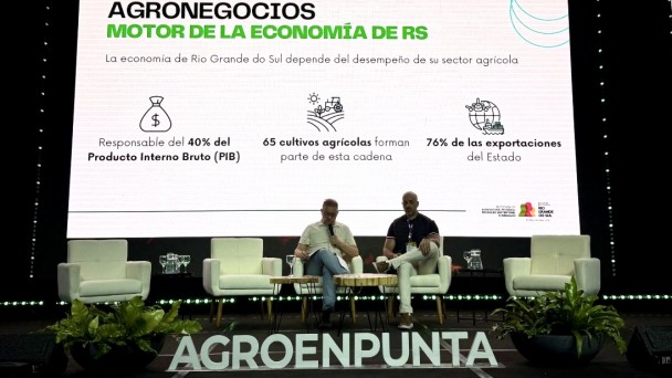 Análise do Agronegócio Gaúcho: Uma Perspectiva do Governo no Uruguai