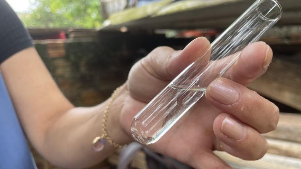 Aumento de Focos do Mosquito da Dengue em Rio Grande: O Que Saber Aumento de Focos do Mosquito da Dengue em Rio Grande: O Que Saber