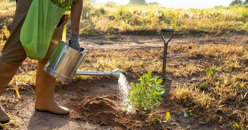 Aumento do Consumo Hídrico no Agronegócio: Desafios para a Carne e a Soja Aumento do Consumo Hídrico no Agronegócio: Desafios para a Carne e a Soja