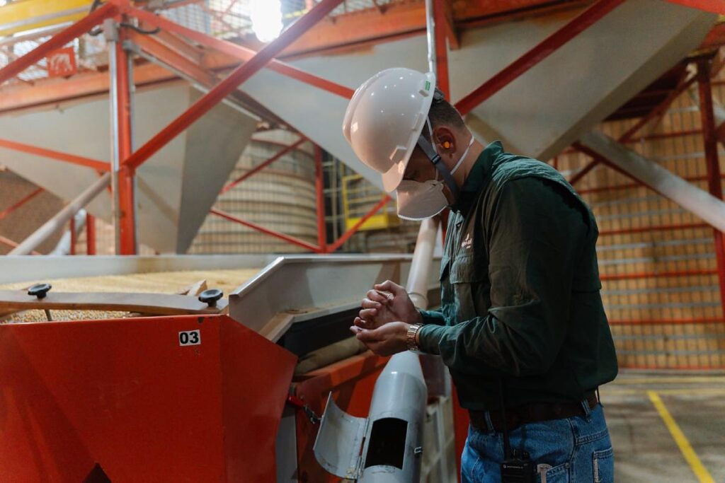 Beneficiamento de Soja: A Importância da Safra de Sementes em Mato Grosso