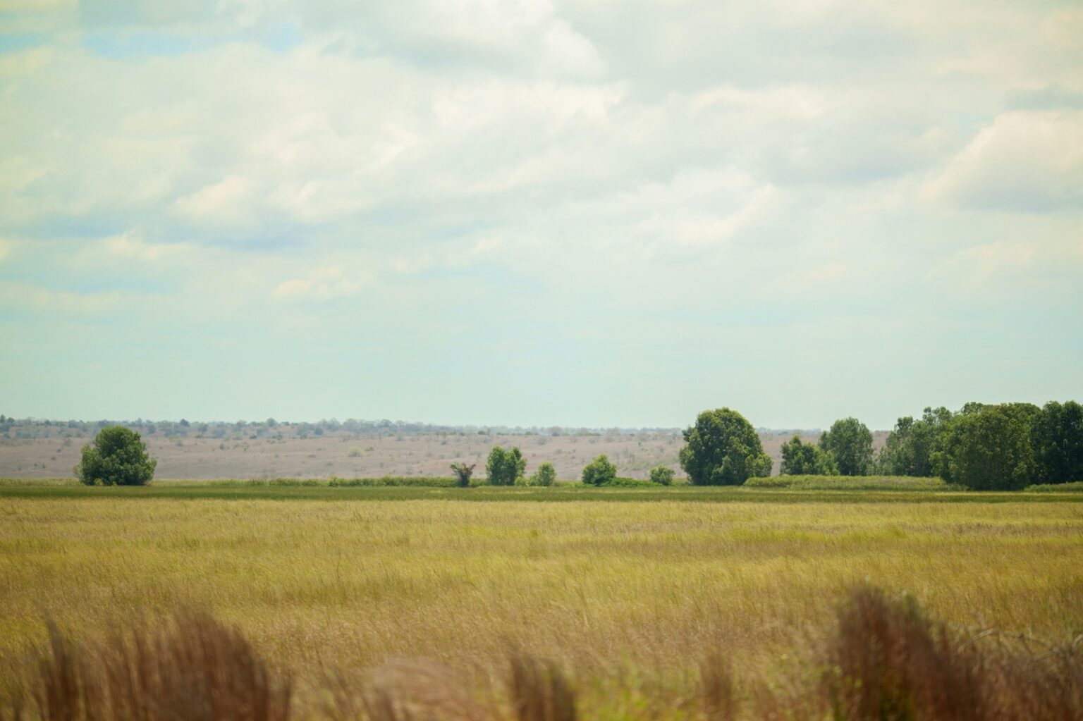 Cooperação Brasil-Angola: A Oportunidade de Expansão Agrícola Cooperação Brasil-Angola: A Oportunidade de Expansão Agrícola