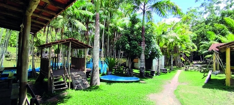 Descubra o Turismo Rural no Espírito Santo: Histórias Inspiradoras de Empreendedores