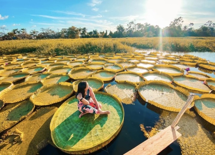 Descubra os Restaurantes de Palafitas e a Magia do Igarapé-Açu em Santarém