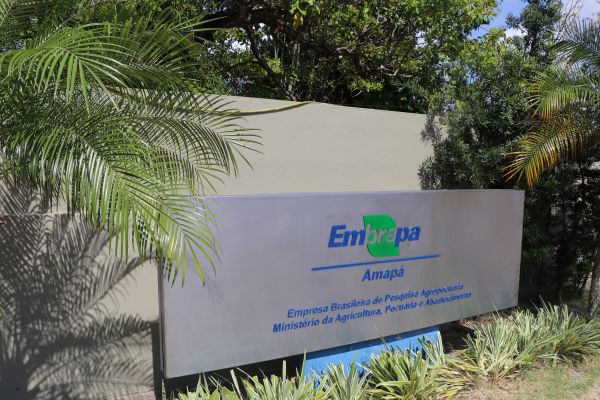 Embrapa Amapá Anuncia Novo Comitê Assessor Externo para Impulsionar a Inovação