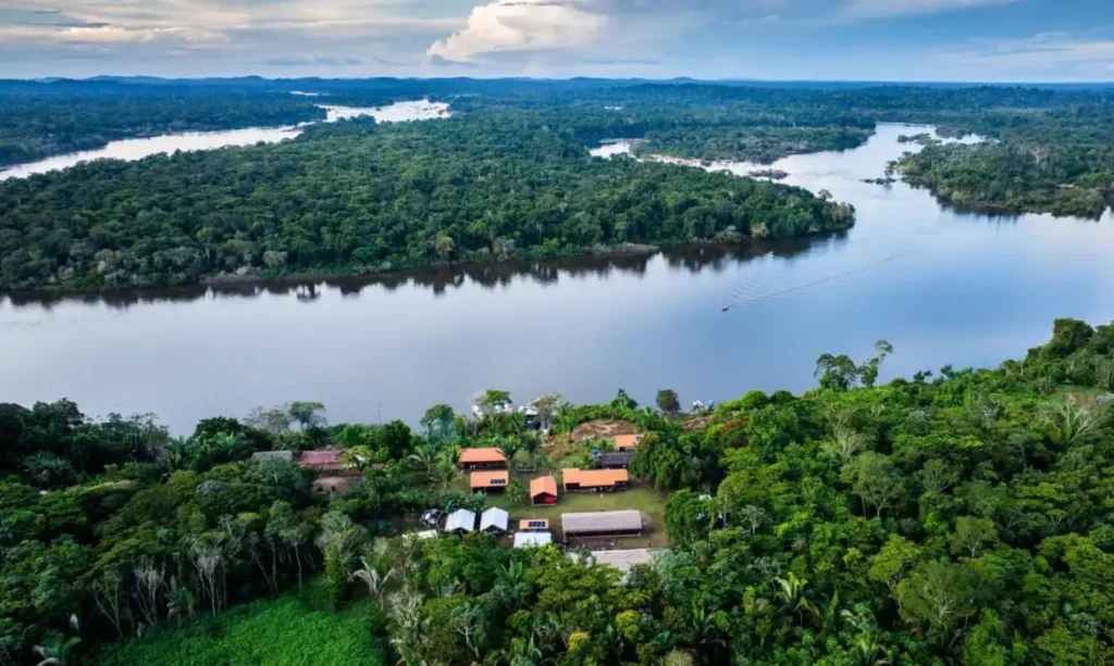 Fundo Amazônia Destina R$ 80 Milhões para Fortalecer a Agricultura Comunitária