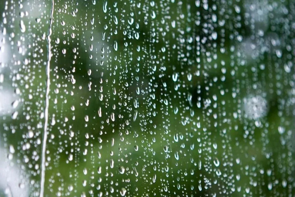 Previsão do Tempo: Chuva e Instabilidade na Região Norte nesta Segunda-feira (23) Previsão do Tempo: Chuva e Instabilidade na Região Norte nesta Segunda-feira (23)